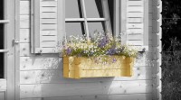 Blumenkasten für Lasita Maja Gartenhäuser - Wahlweise für Einzelfenster und Doppelfenster